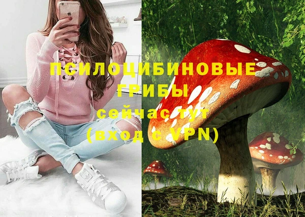 мдпв Вяземский