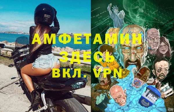 мдпв Вяземский