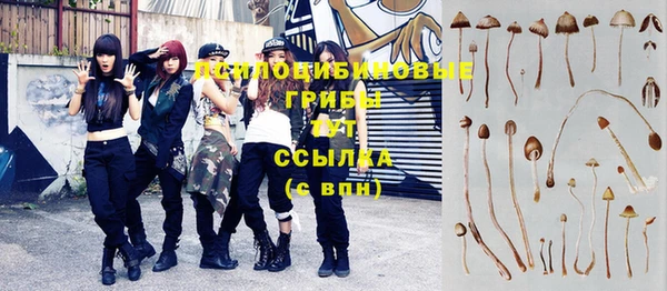 крисы Горно-Алтайск