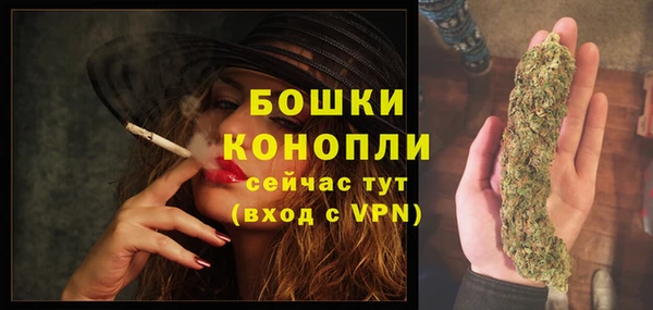 молекула духа Вязьма