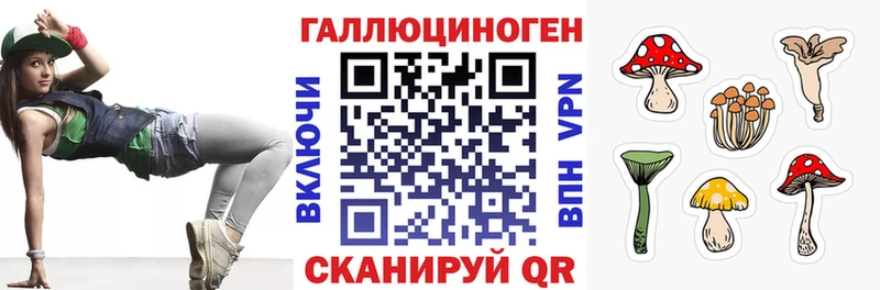 Купить закладки  Калач-на-Дону  Галлюциногенные грибы Psilocybine cubensis 
